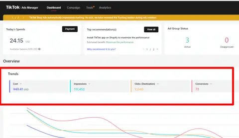 TikTok Ads result screenshot