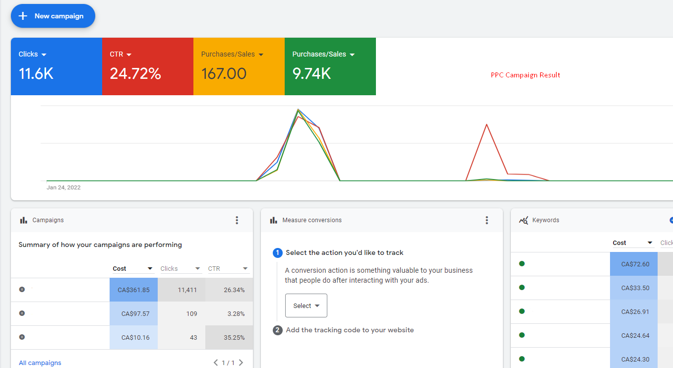 PPC Ads Campaign